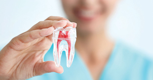 Лечение корневых каналов и удаление зубов